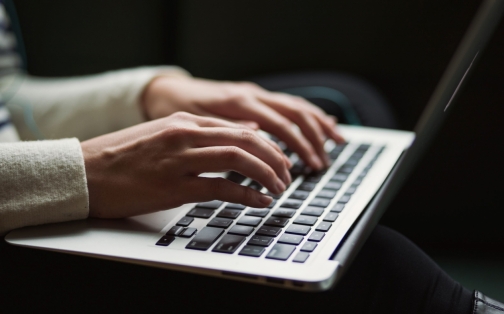 Majority Using Legal Support Through Portal