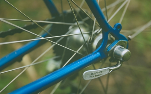 Cycling Trend Continues During Pandemic