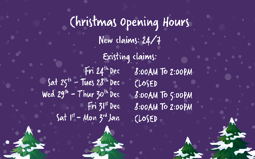 Opening Hours Over Festive Period