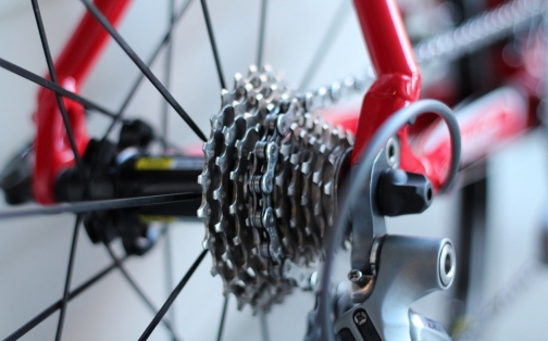Tour de France Puts Spotlight on Cycling