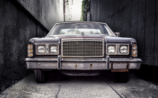 Furry joy rider’s epic journey