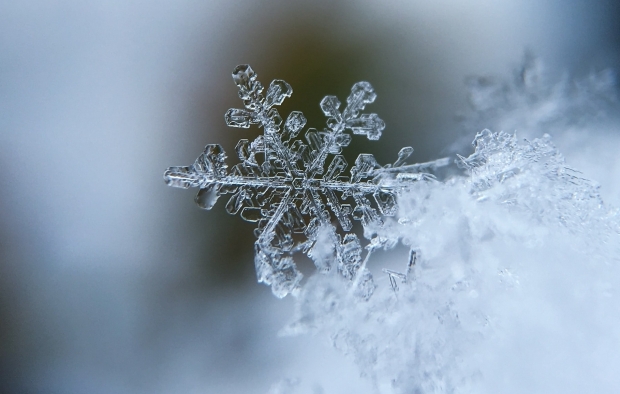 A snowflake in cold weather