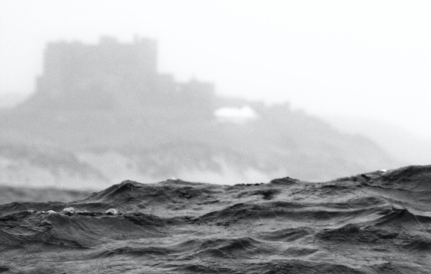 A boat trip to the Farne Islands