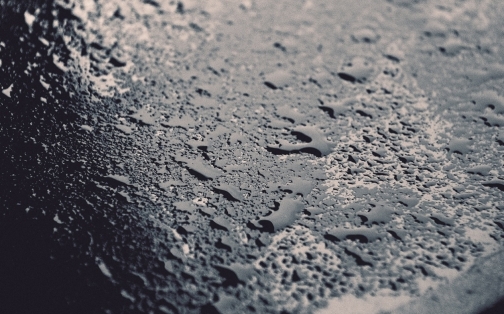 What Should You do if Your Car Begins to Skid?