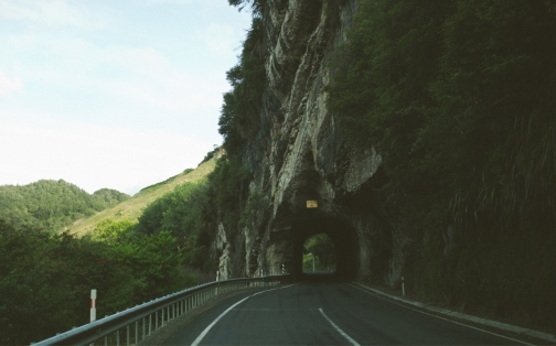 Licence fees cut planned