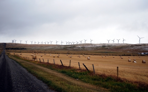 Safety Tips for Driving in High Winds