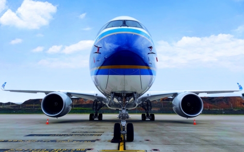Are Airlines Liable for Injuries?