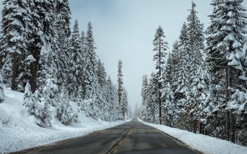 Tips for Driving in the Snow 