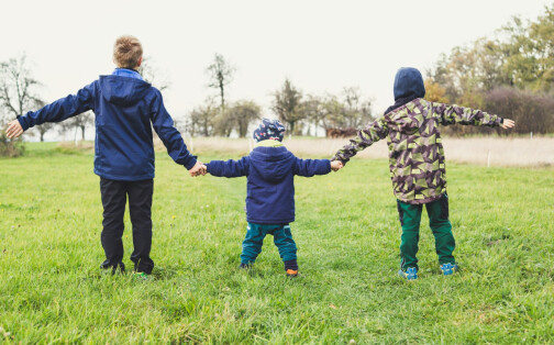 Why is it Important to Include Substitute Guardians in Your Will?