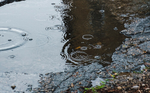 Potholes Claims Rise by 90% in Three Years