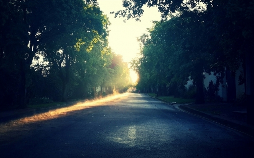 Tractors and boy racers among biggest summer gripes