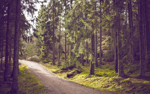 Excited about electric?