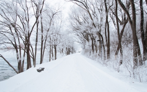 Is your Car Ready for Winter?  